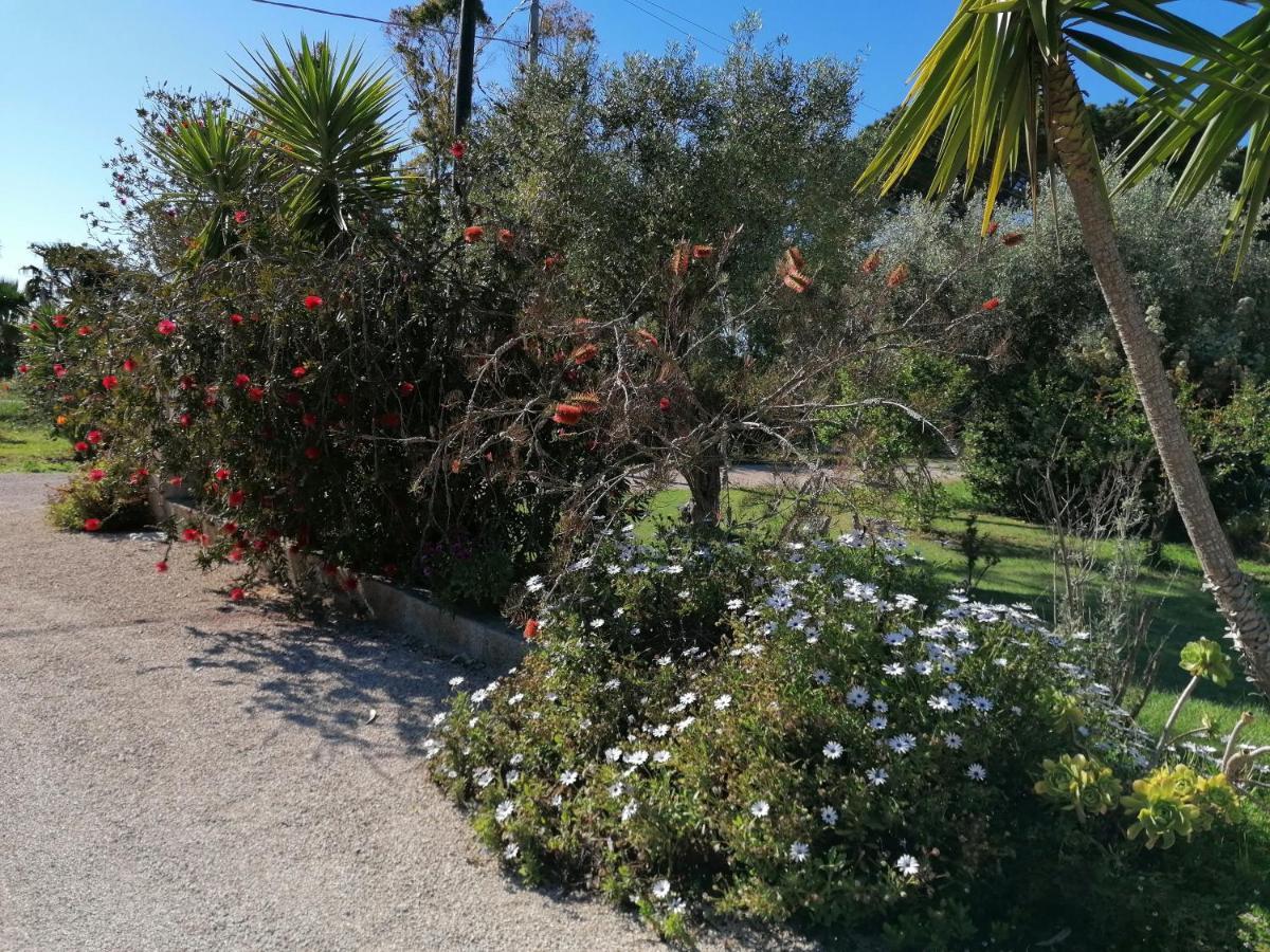 Il Patio Alghero サンタ・マリア・ラ・パルマ エクステリア 写真